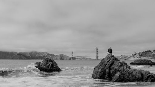 A woman sitting on a big rock at the beach enjoying a beautiful view of Golden Gate Bridge