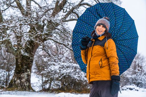 A woman in a yellow jacket and an umbrella under bare trees during winter in the town of Opakua near Vitoria in Araba, Basque Country, Spain