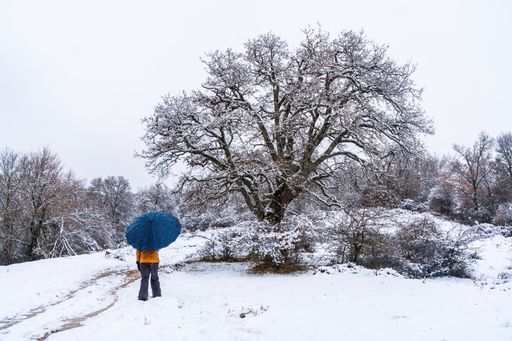 A woman in a yellow jacket at a snowy park during winter in the town of Opakua near Vitoria in Araba, Basque Country, Spain