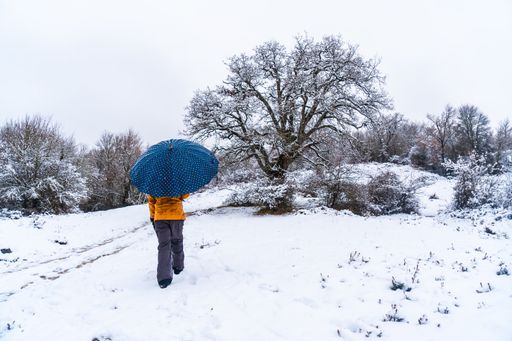 A woman in a yellow jacket walking on snowy path during winter in the town of Opakua near Vitoria in Araba, Basque Country, Spain