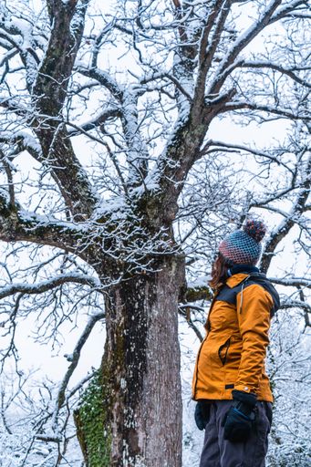 A vertical shot of a woman in a yellow jacket under a snowy tree during winter in the town of Opakua near Vitoria in Araba, Basque Country, Spain