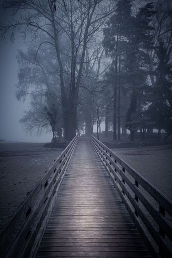 A vertical shot of a wooden bridge in a foggy forest in the evening