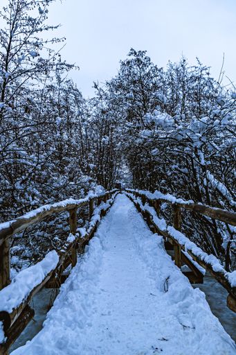 A vertical shot of a wooden bridge in the forest, covered in white snow during winter