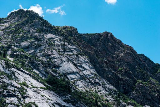 A beautiful shot of greenery covered mountains