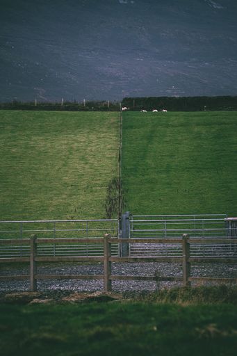 A wooden fence running along the side of a lush grassy field at dusk, Northern Ireland