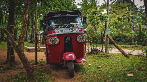 A red auto rickshaw (Tuktuk) parked in a green garden in Sri Lanka