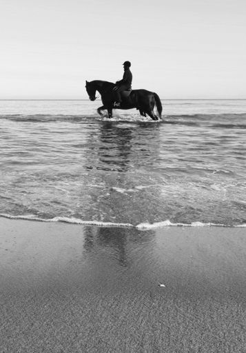 A vertical shot of a horseman on a horse in the