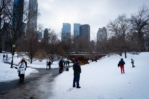 Scenes from New York City's Central Park after a snowstorm