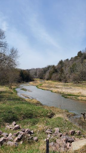 A vertical shot of the river surrounded by bare trees during the daytime