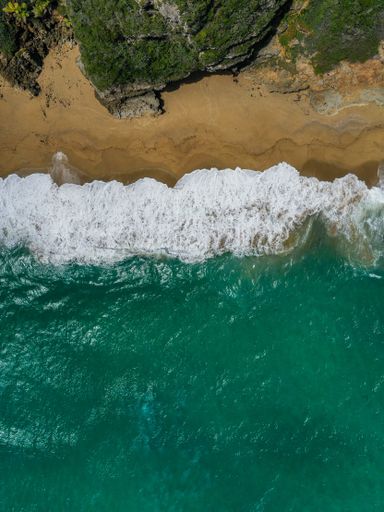 A vertical aerial view of an ocean with foamy waves hitting the beach in daylight