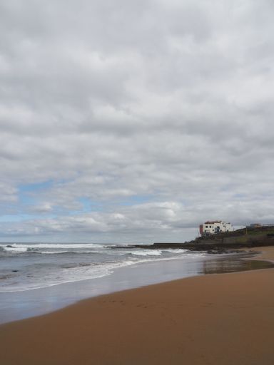 Tranquil waves crashing onto a sandy beach, with a majestic view of the wide expanse of the ocean