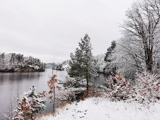 A beautiful winter landscape with snowy trees, a clear river with reflection in Larvik, Norway