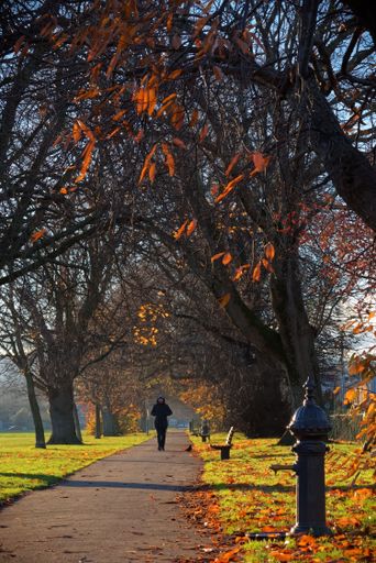 Vertical photo of a main alley in the People's Park in Bray, County Wicklow, Ireland. A man walks towards the camera. Cold but sunny autumn day.