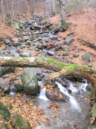 A vertical long-exposure shot of a tree log fallen over the rocky river in the forest at fall