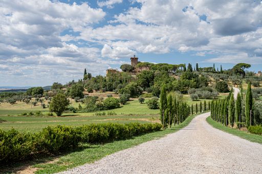 A road leading through the beautiful fields of Tuscany during a sunny day
