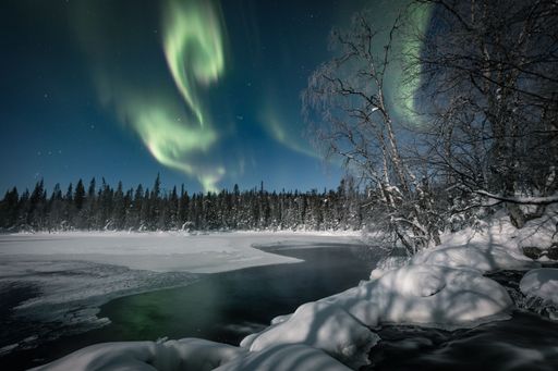 The polar Aurora lights in the starry sky in the snowy fir forest with frozen lake in Lapland, Finland