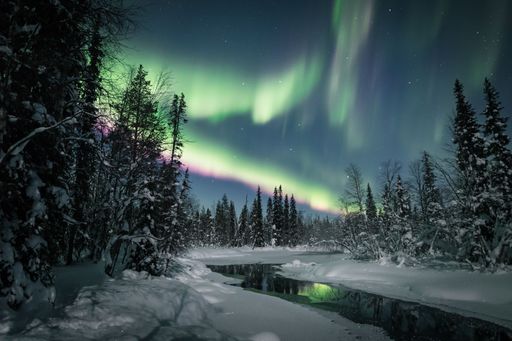 The polar Aurora lights in the starry sky in the snowy fir forest with a frozen river in Lapland, Finland