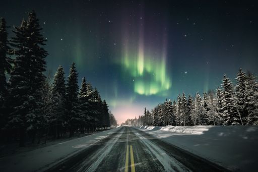 The polar Aurora lights in starry sky over the road passing through snowy fir forest in Lapland, Finland