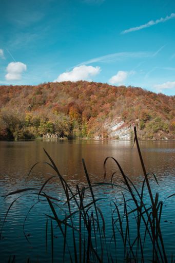 A beautiful view of the water surrounding the forest with colorful leaves on the trees on a fall dayn