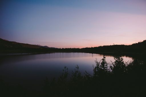 A scenic shot of a still lake surrounded by silhouettes of plants under the pink and blue sky