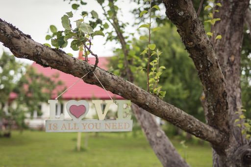 A love is all you need sign hanging from a tree branch with a blurred background