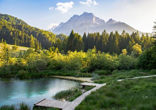 A beautiful shot of the Zelenci nature reserve near Kranjska mountain in Slovenia