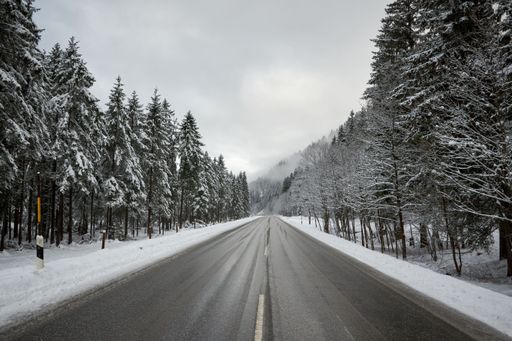 An empty highway between spruces covered in snow