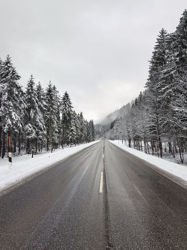 A vertical shot of an empty highway between spruces covered in snow