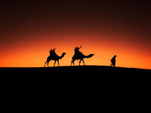 The silhouettes of caravan in a desert at sunset