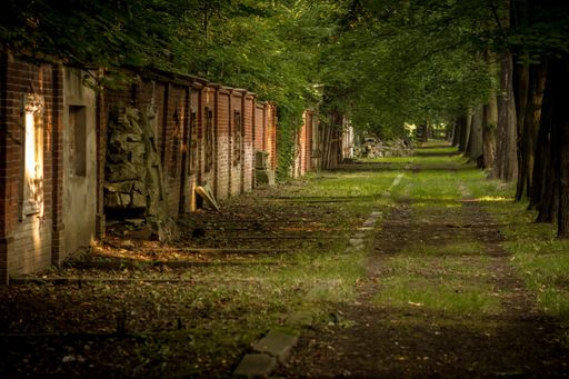 A closeup shot of a pathway surrounded by trees and old buildings