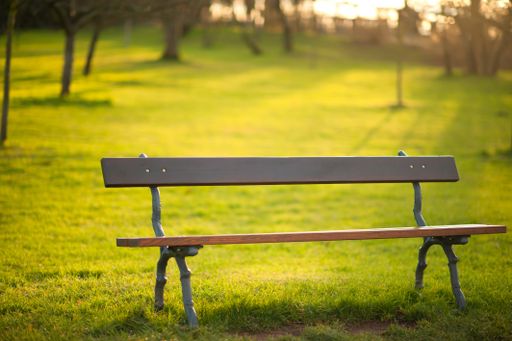 A beautiful view of a wooden bench on a grass covered hill with the trees in the background