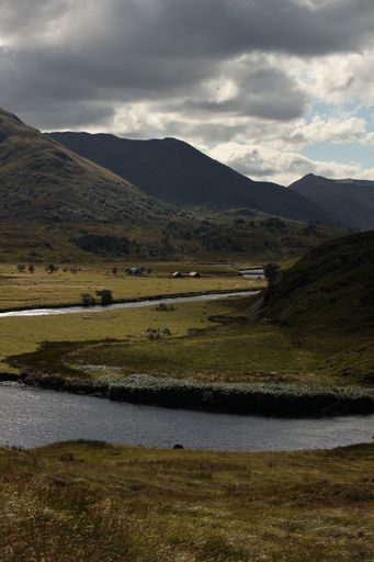 A tranquil landscape of rolling green hills and lush trees near a dirt road