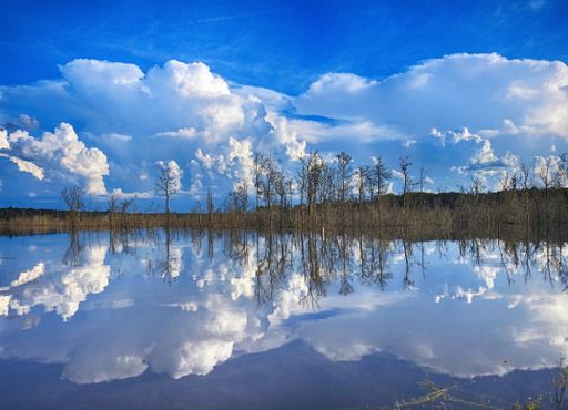 A scenery of the fluffy white clouds reflecting in the lake