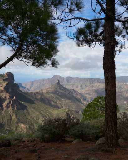 A vertical of green mountains covered with pine trees in Gran Canaria, Canary Islands