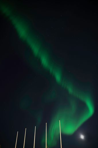 A low-angle vertical shot of the Northern lights on a starry night sky