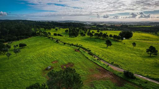 A high-angle shot of beautiful green fields in a rural area with a bright blue sky and clouds