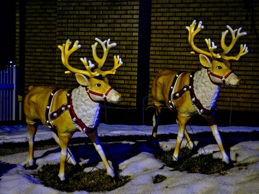 Two Christmas reindeer decorations outdoors
