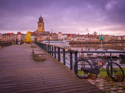 A bike and a fir tree on a wooden dock near a river in Deventer, the Netherlands