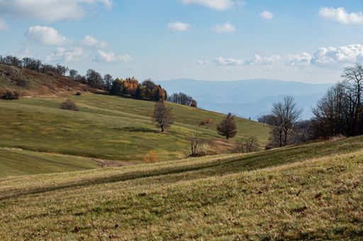 A scenic landscape featuring an undulating green hillside with distant mountains in the background and a few trees providing a splash of color