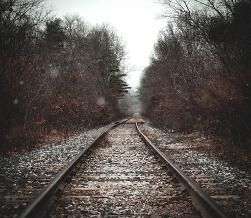 A railroad surrounded by dense trees