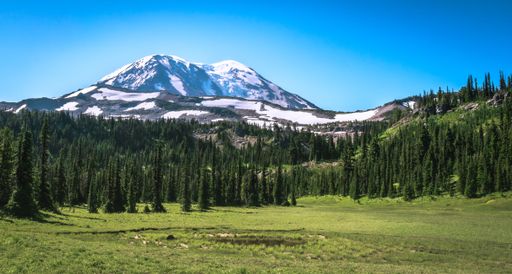 A wide green field surrounded by the forest with the snowy mountains in the background on a sunny day