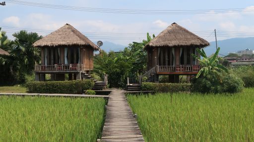 Two wooden bungalows in the middle of a rice field in Vietnam.