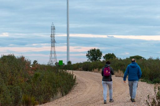 A selective focus shot of a sporty man and woman walking in a field on a cloudy day
