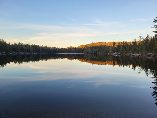 A beautiful view of trees reflecting on lake under blue sky