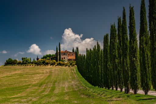 A beautiful shot of a house with aligned green trees in val d'orcia tuscany italy with a cloudy blue sky during daytime