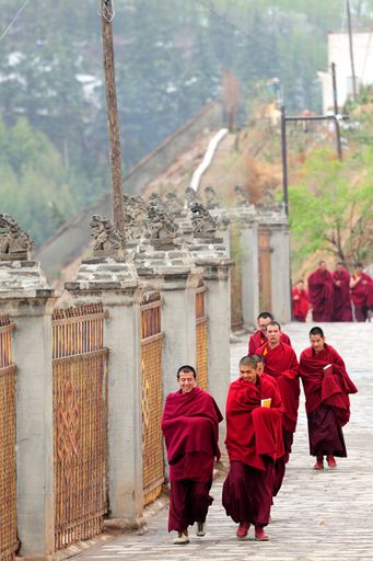 A group of young monks walking down a stone path next to a fence in lama China Qinghai Ta'er Temple Road