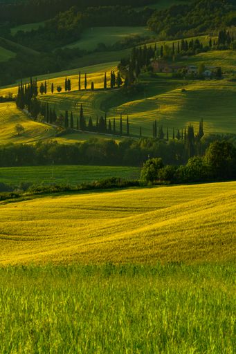 A vertical shot of green fields surrounded by hills in the countryside