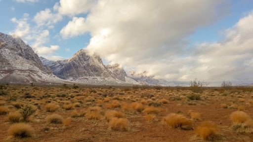A scenic desert landscape featuring an expanse of dry grass and snow-capped mountains in the distance