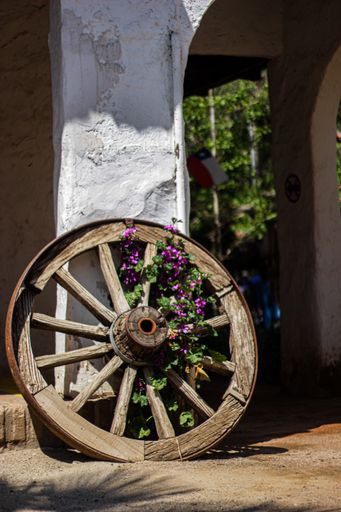 A vertical shot of a wooden wheel under a wall with flowers growing through