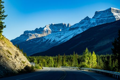 A breathtaking landscape view of the road surrounded by green trees, with a rocky mountain in the background on a sunny day